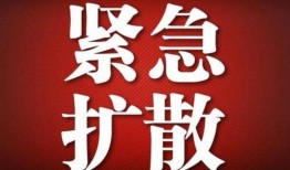 紧急告急在线观看,在线观看揭秘生死时速的惊险故事