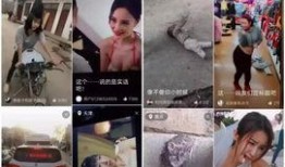 抖音视频爆料,揭秘XX惊人内幕！