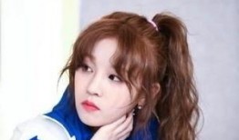 陈法蓉爆料宋雨琦视频大全,揭秘背后故事